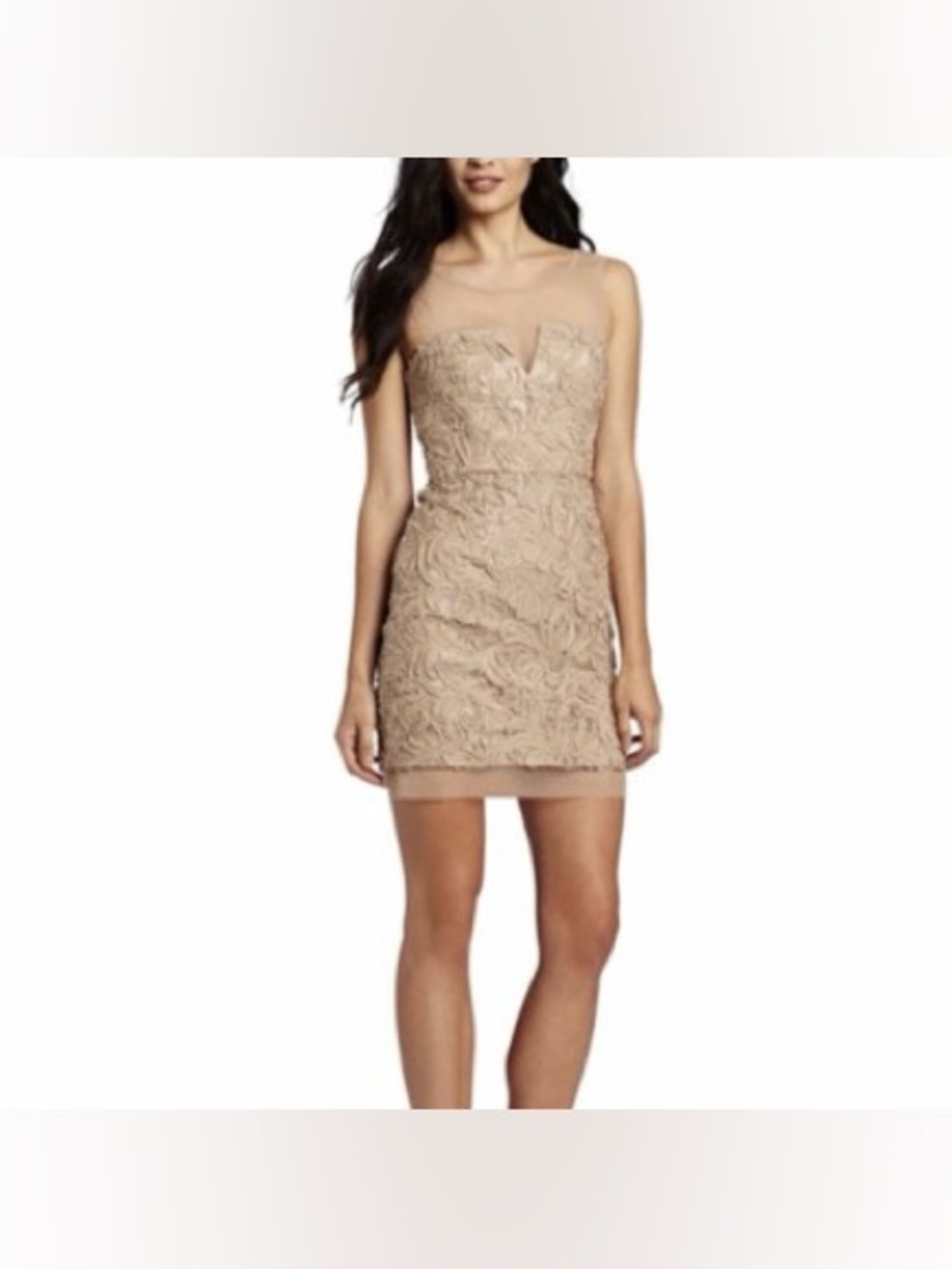 BCBGMaxAzria Champagne Embroidered Dress
